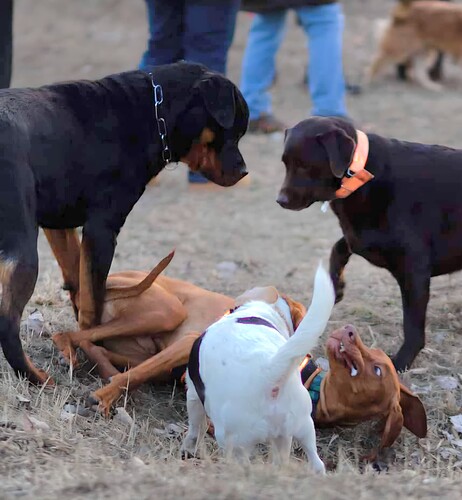 FB_IMG_1643031048378