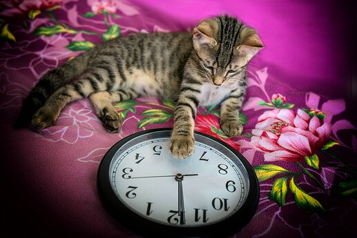 new-years-eve-4582392_960_720