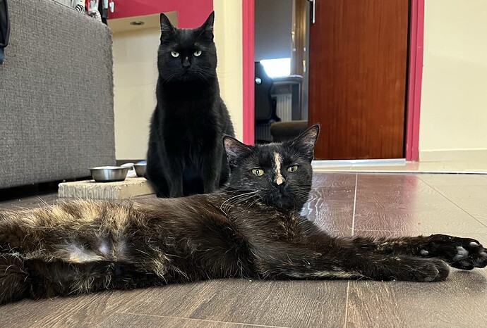 att.0ymg_kO7JUce7ydszdCIGDx1kuIUmoDX0Xoe9Z1Mf1M