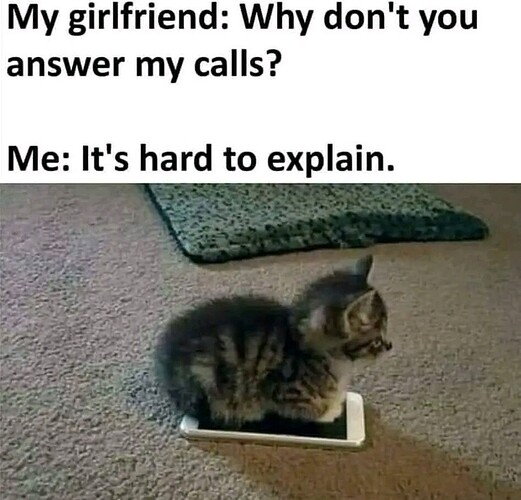 1750694538183