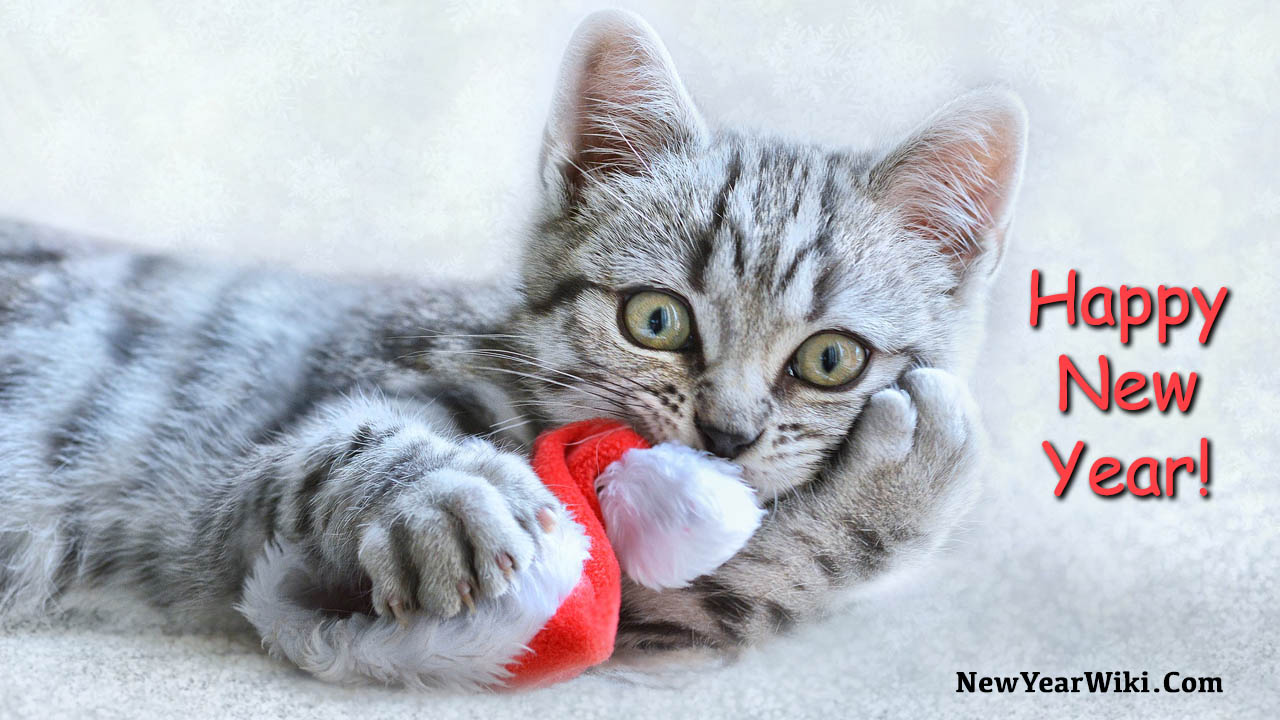 New-Year-Kitten-Images