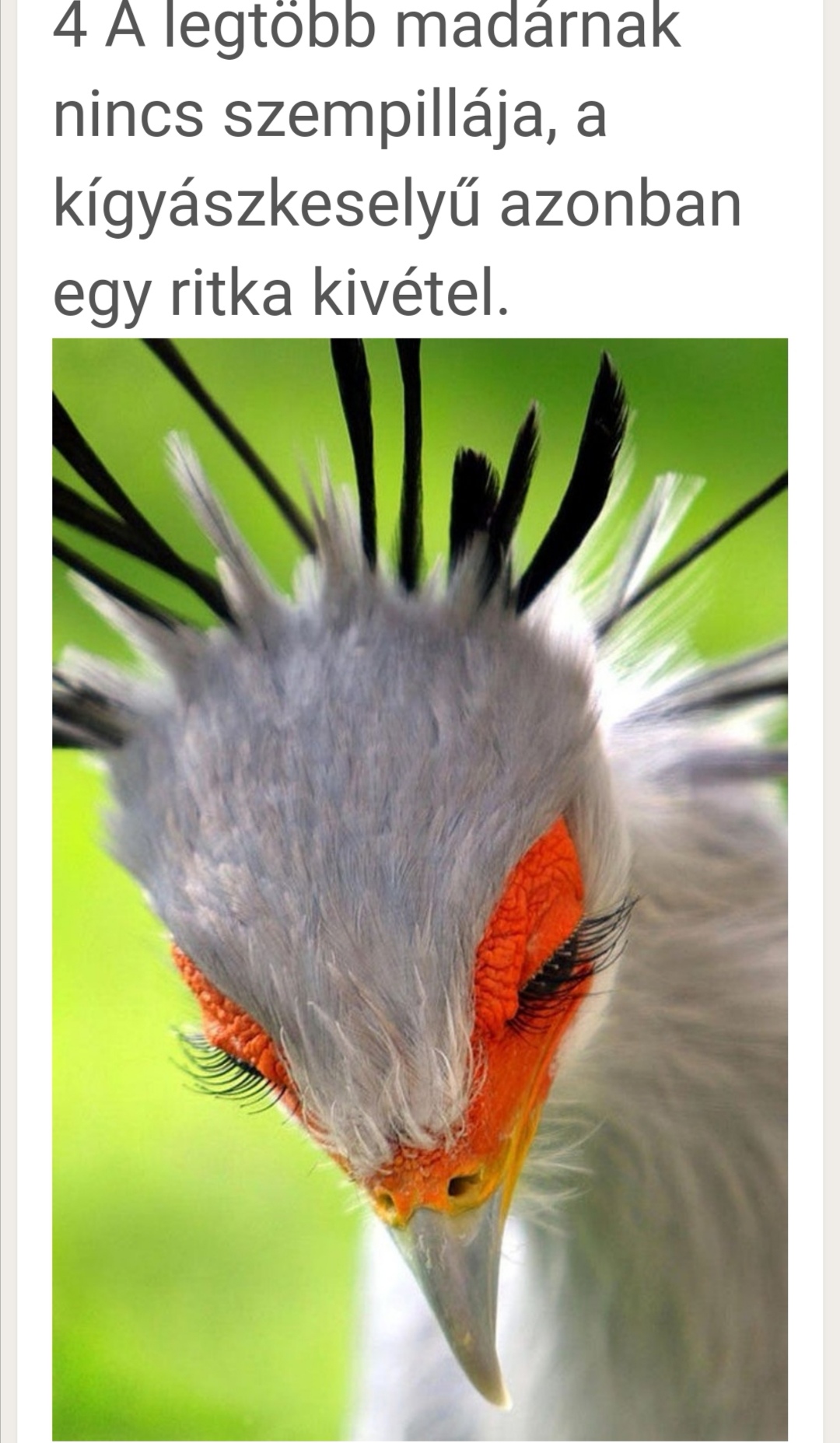 Screenshot_20200212_130903