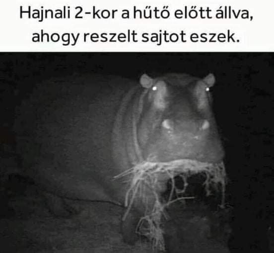 FB_IMG_1644590217245