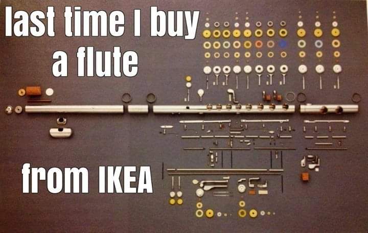 FB_IMG_1686296729540