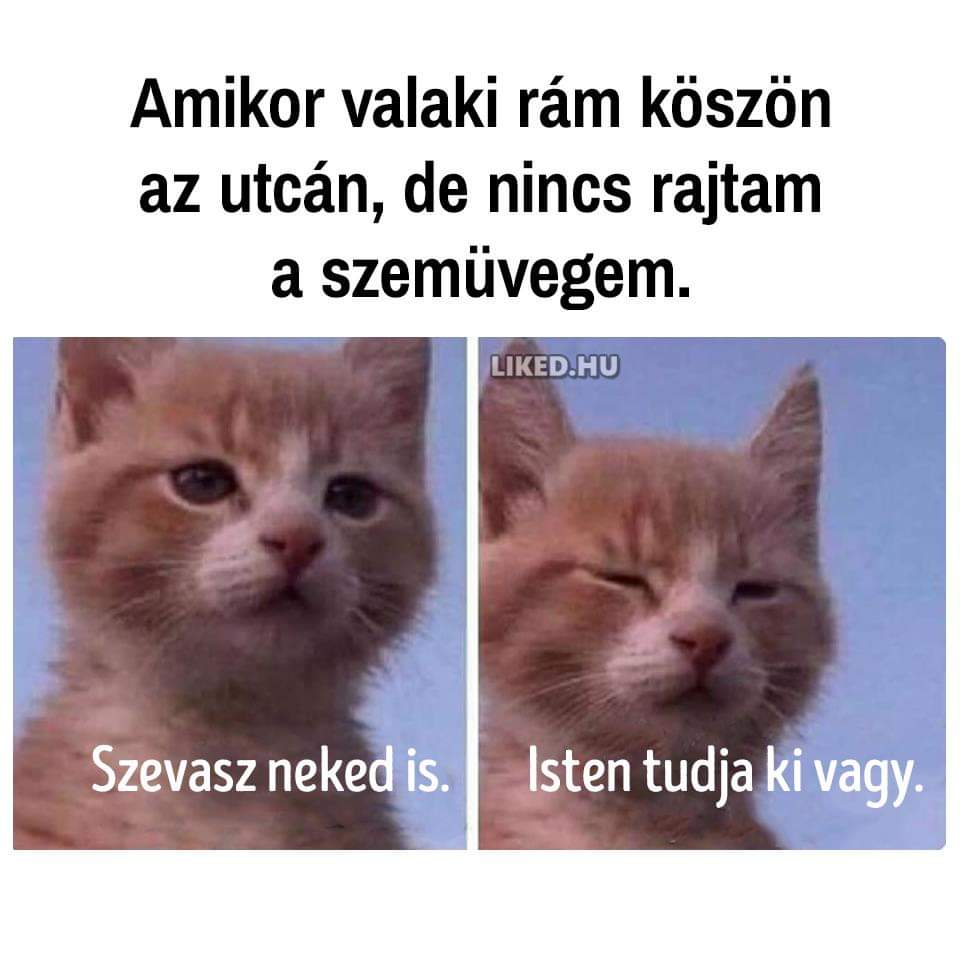FB_IMG_1664726912373