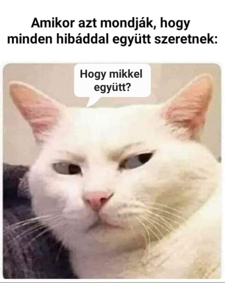 FB_IMG_1677058052806