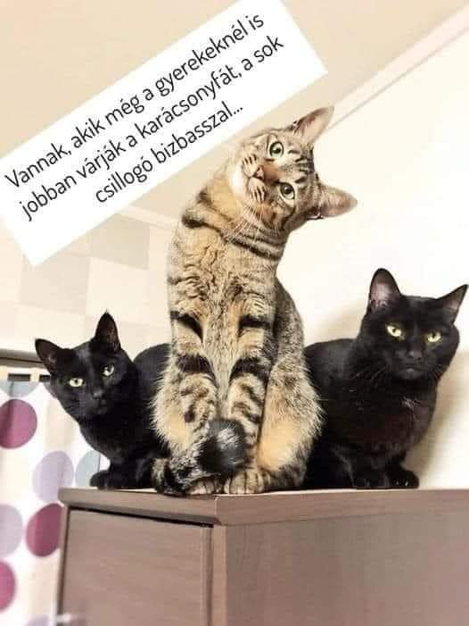 FB_IMG_1671853604308
