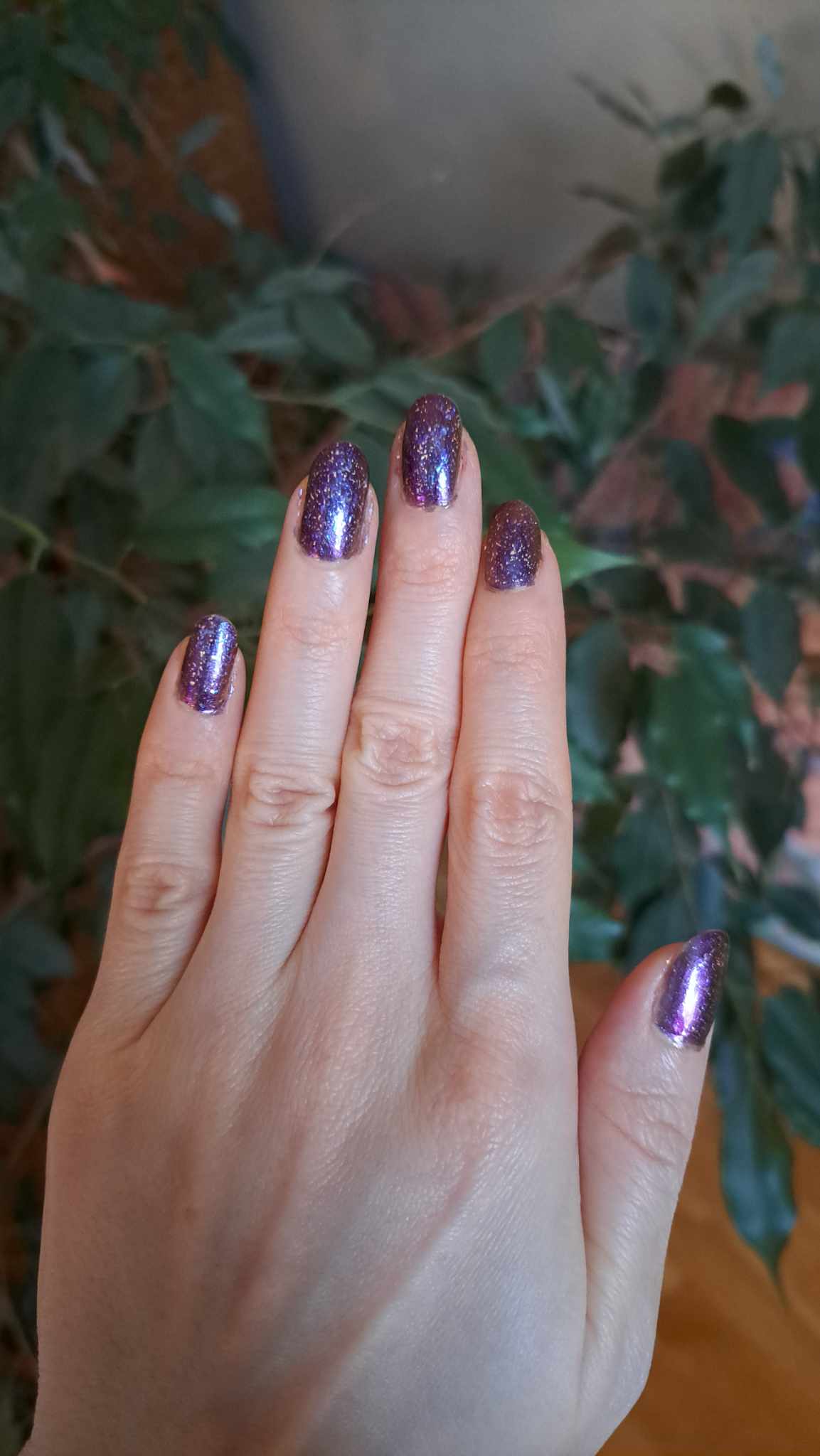 410986375_1216298855994271_709617706485301191_n