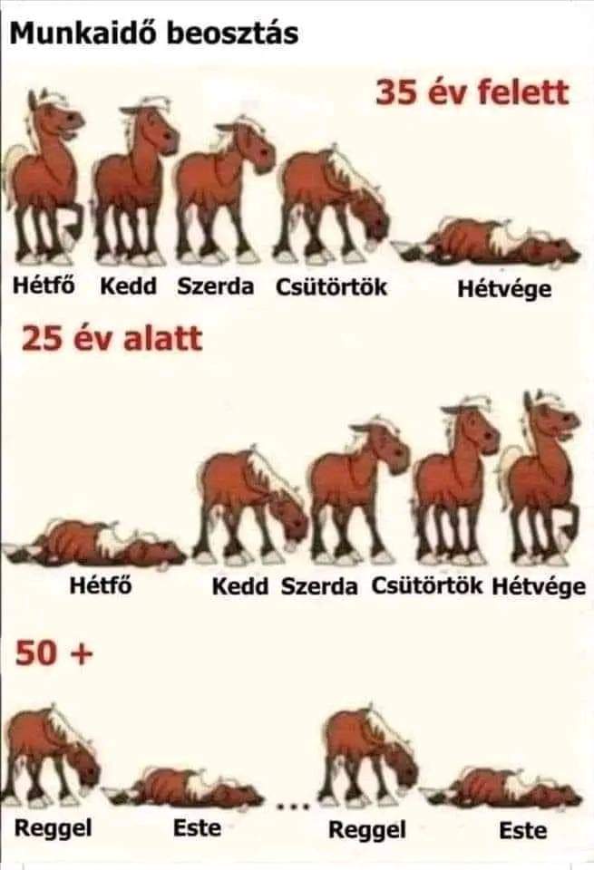 FB_IMG_1667032962139