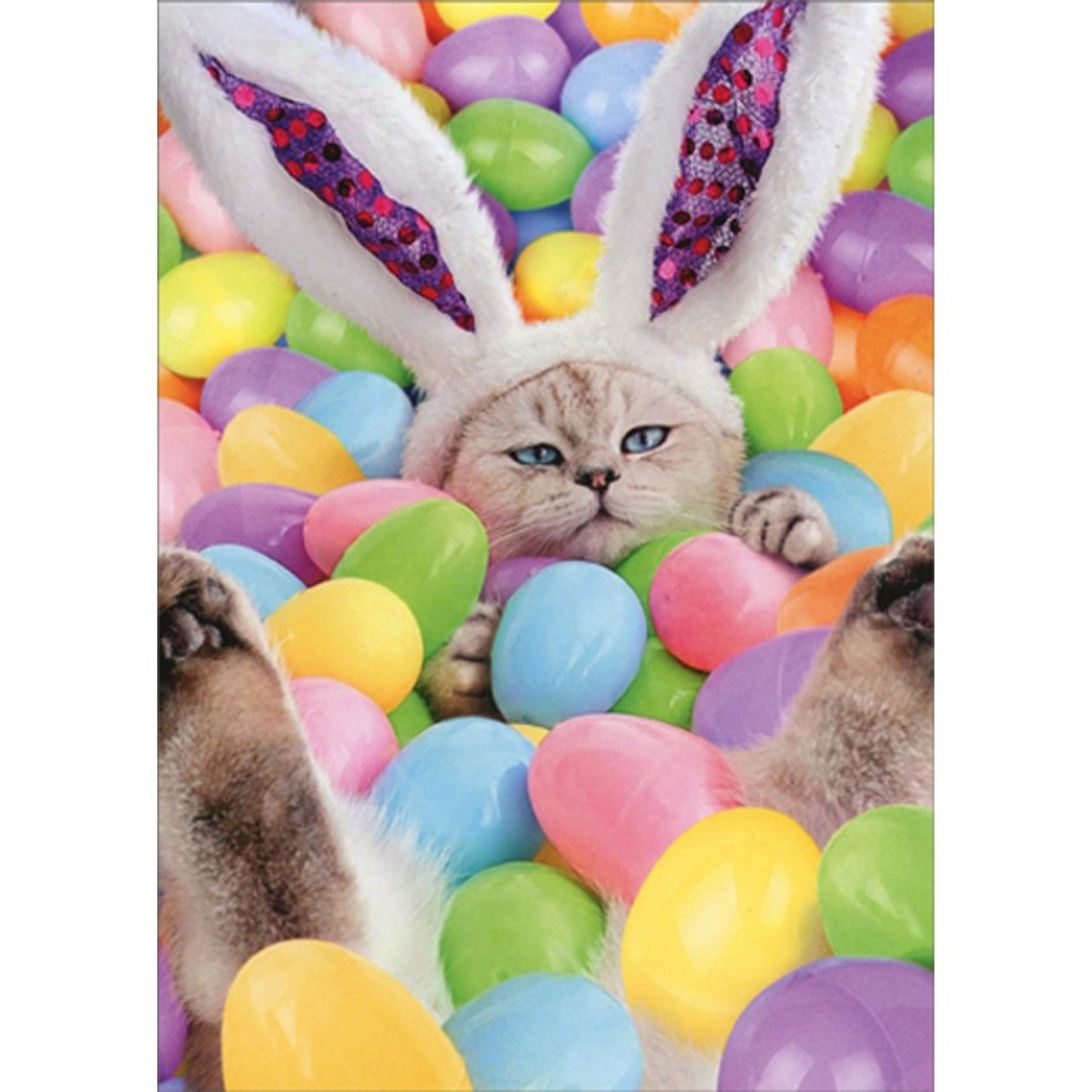 cd17580-bunny-cat-in-pool-of-easter-eggs-funny-easter-card-avanti__10871.1656195466