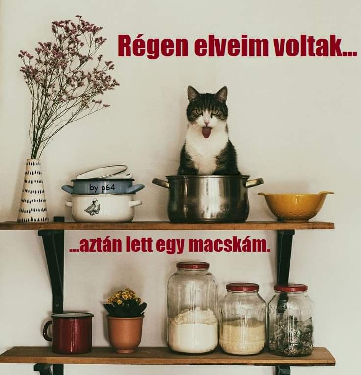 FB_IMG_1678002960696