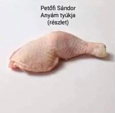 Kép