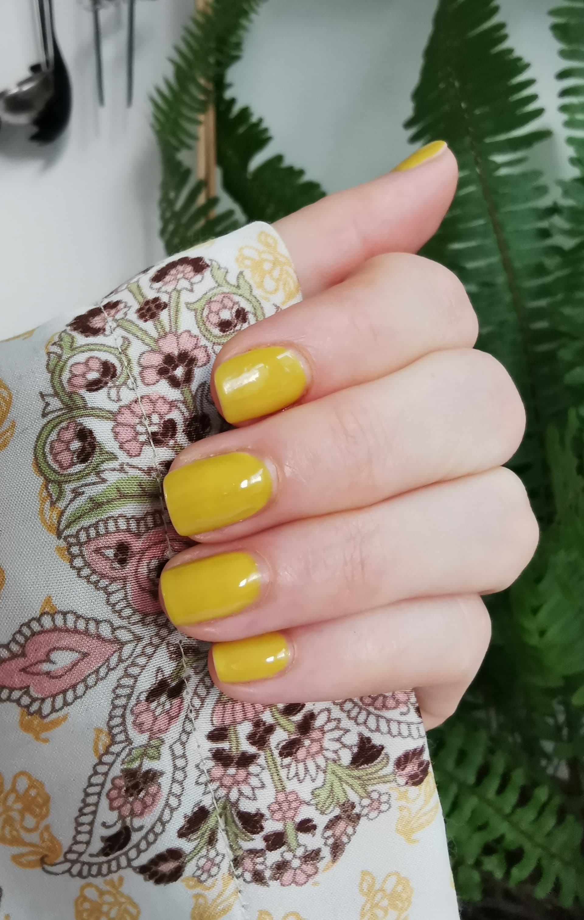 IMG_20231001_185450_edit_2531161958179391