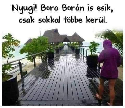 FB_IMG_1684402388008