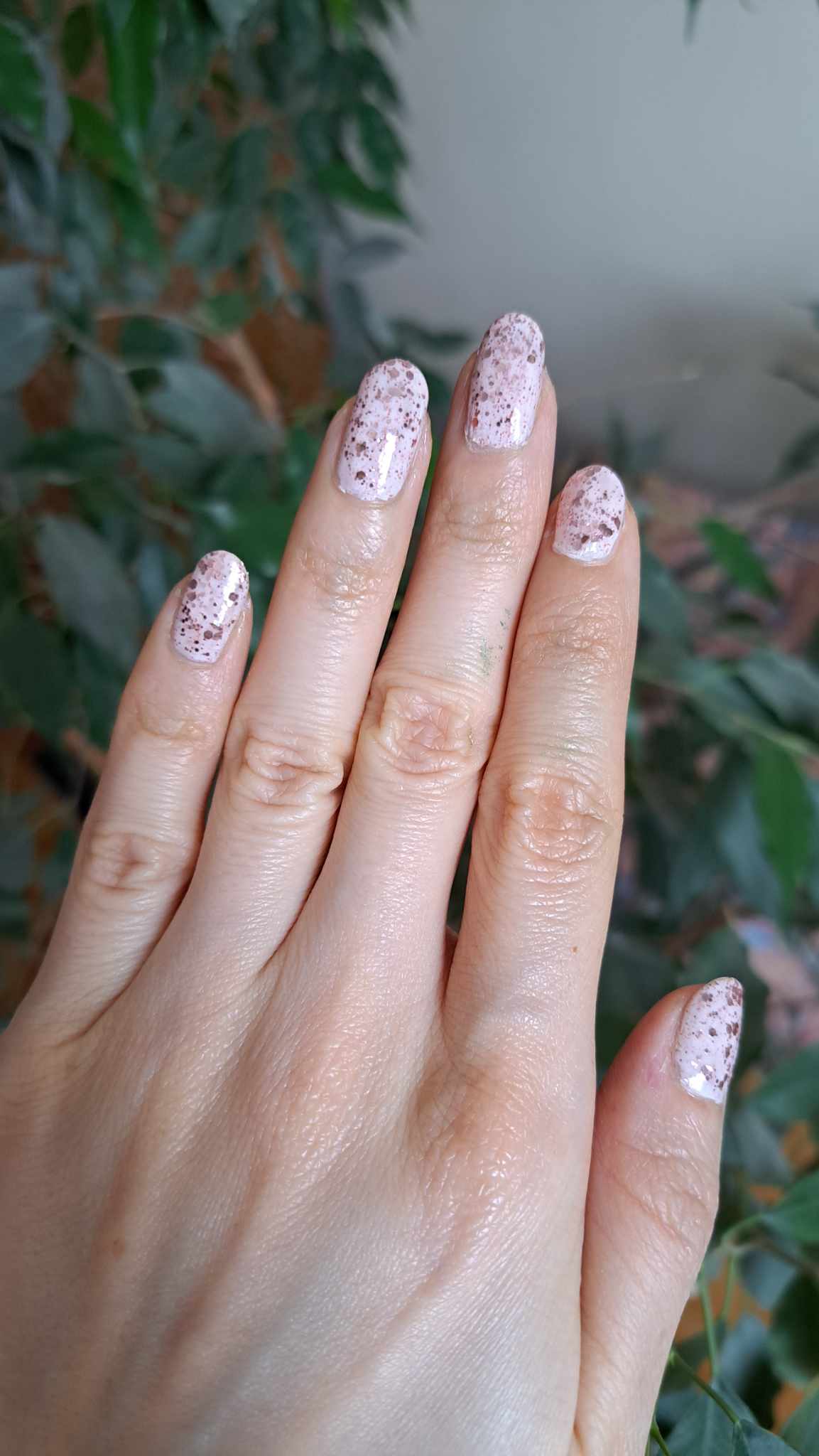 9a656b79-6637-4a55-9d85-7e537d81e8f9