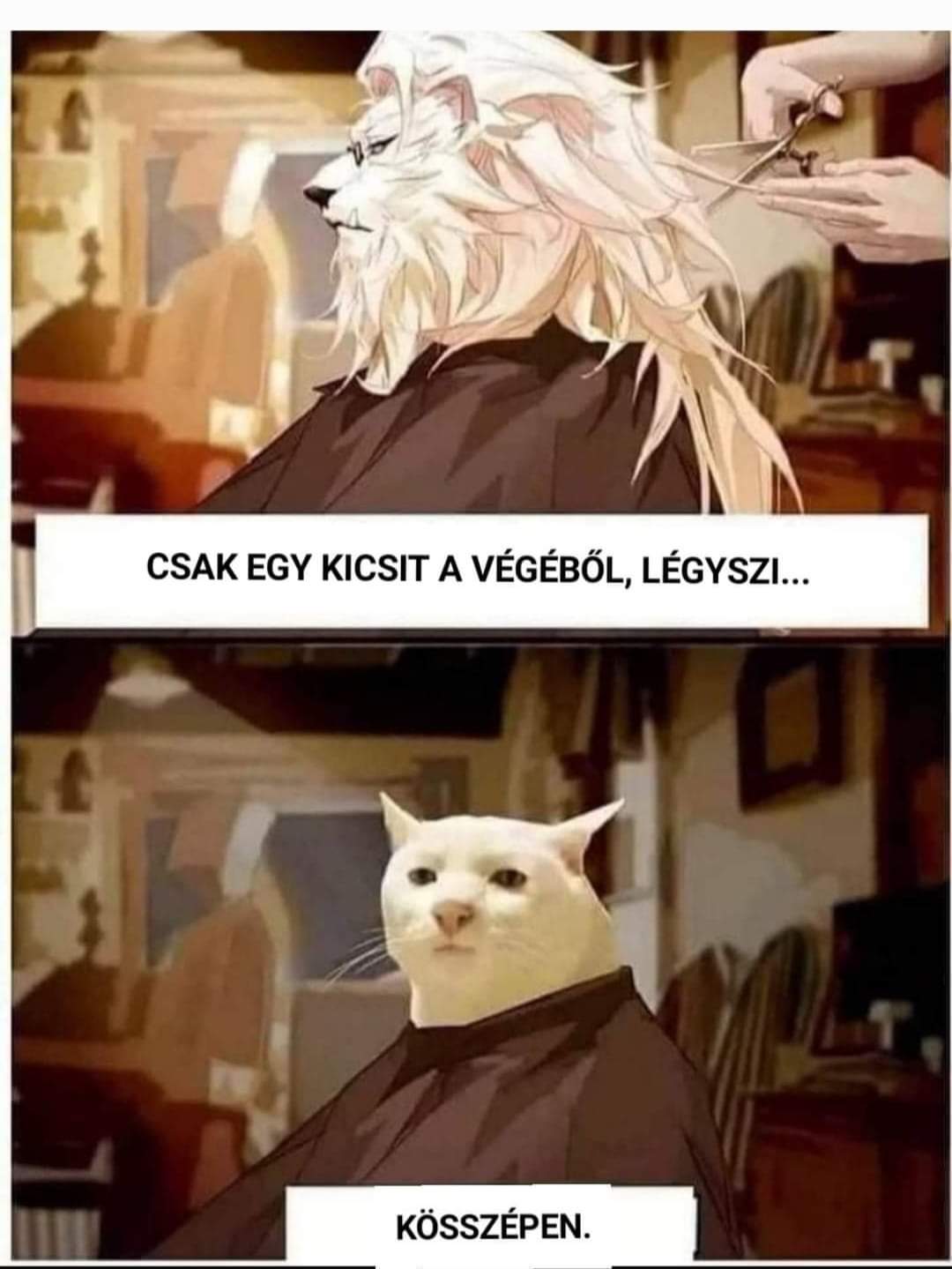FB_IMG_1660075371673