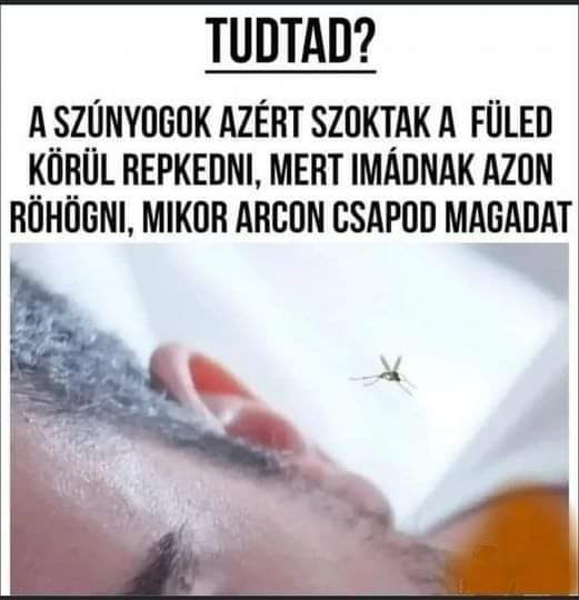 FB_IMG_1686848611603