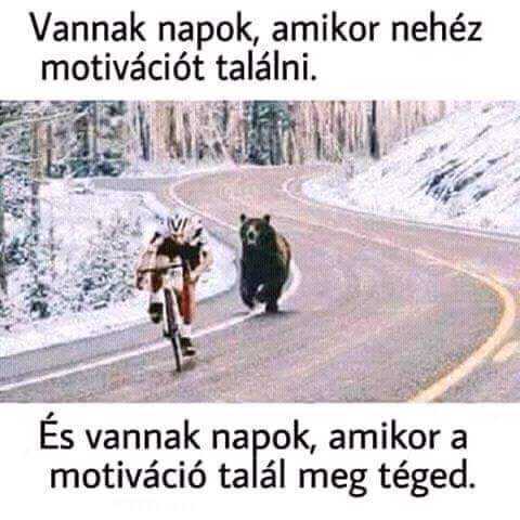 FB_IMG_1674797796098