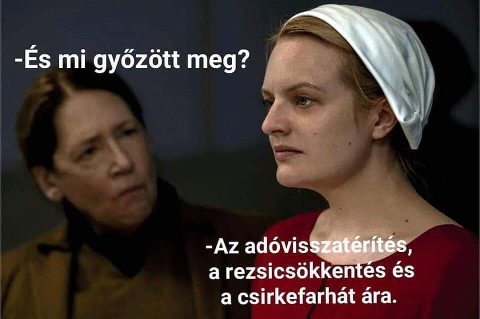 FB_IMG_1644852952346