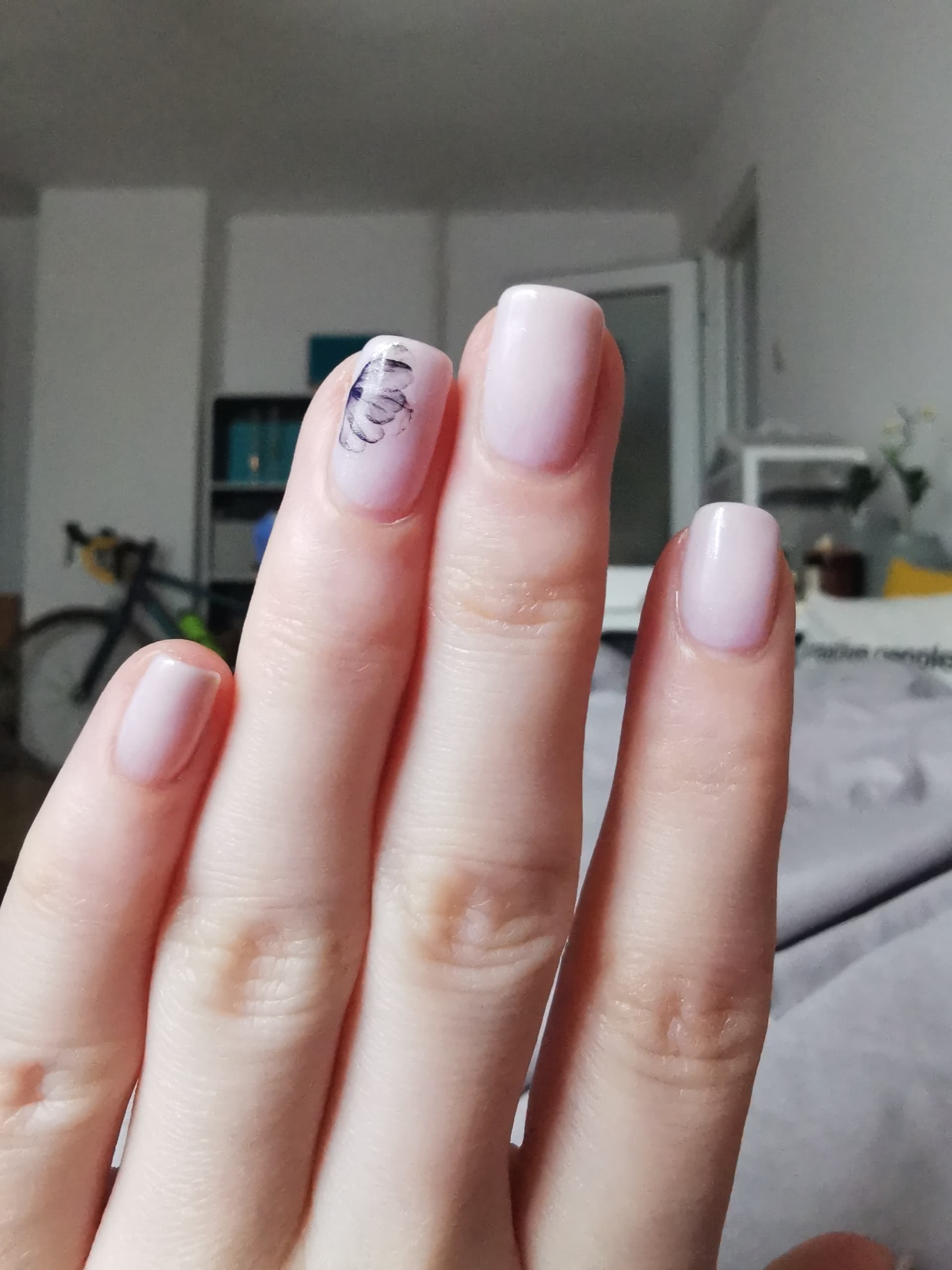 IMG_20230226_133840_BURST008