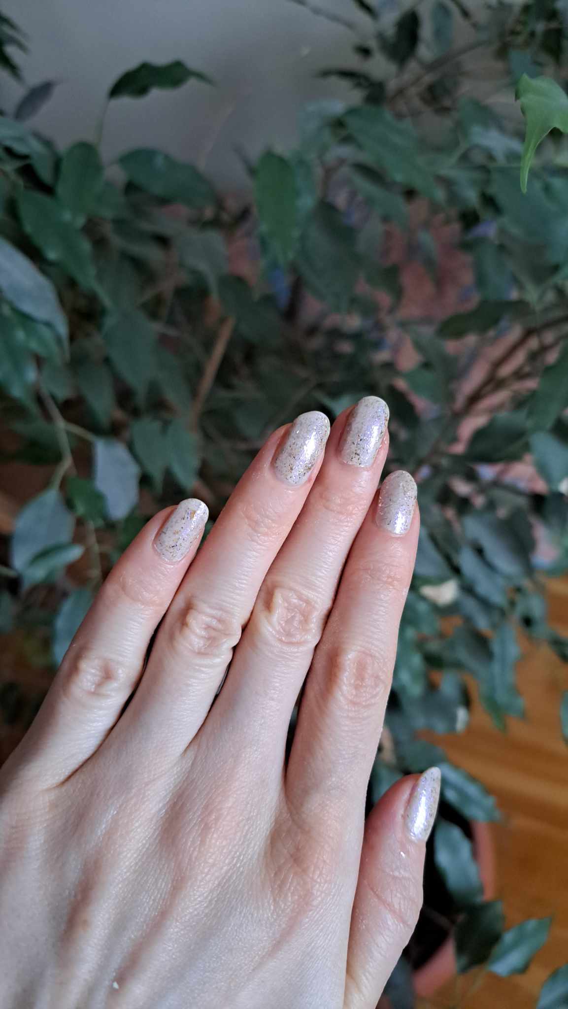 410727801_2619156044915722_8727188490369741053_n