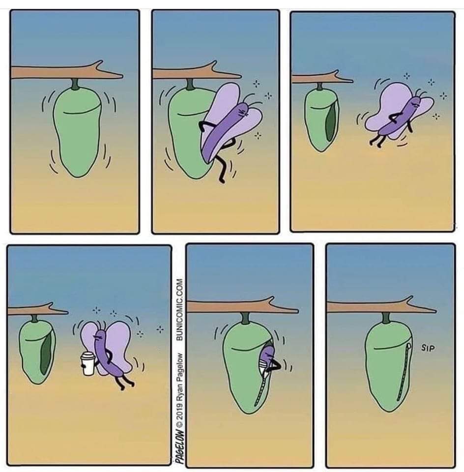 FB_IMG_1681407525651