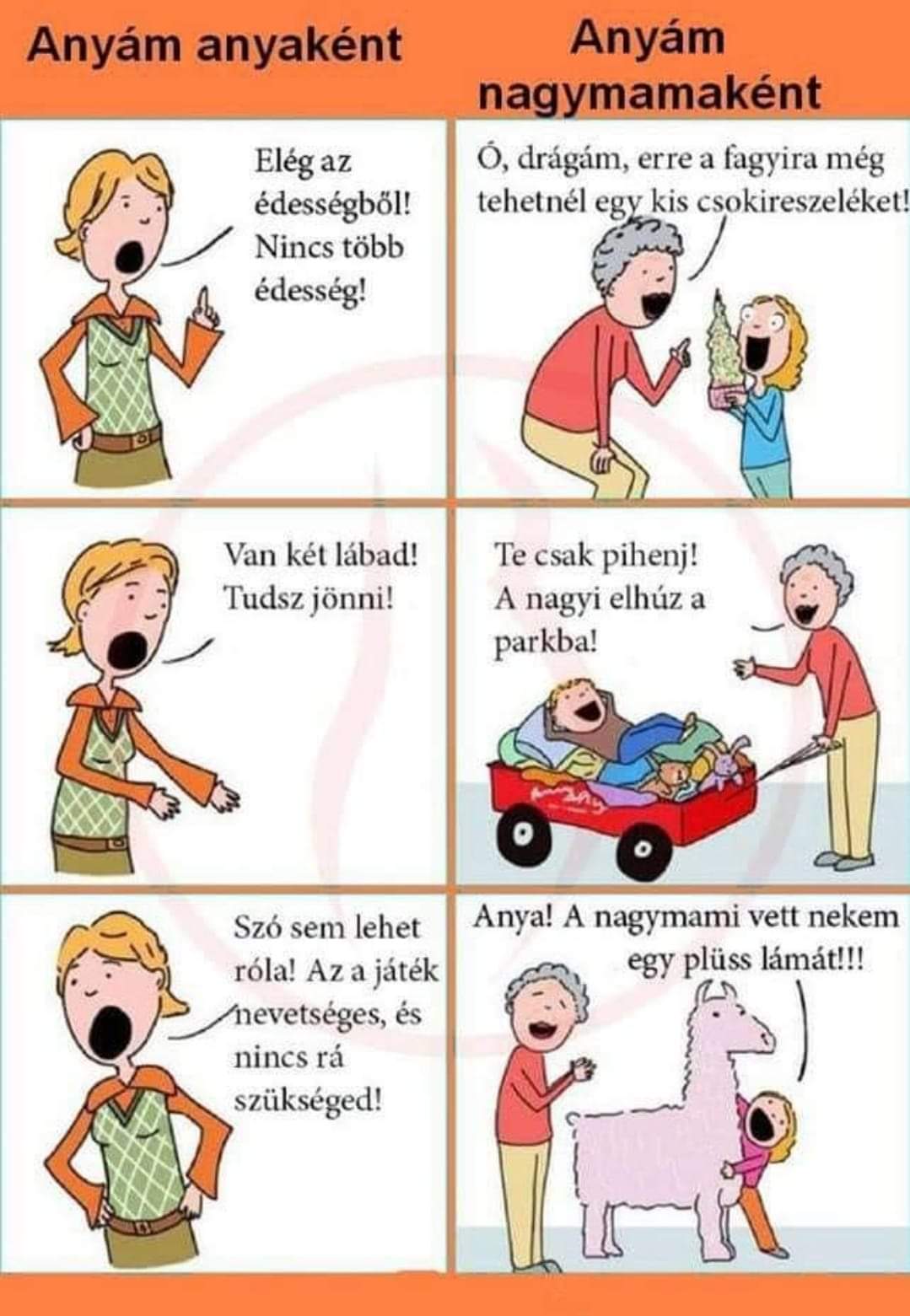 FB_IMG_1644852921406