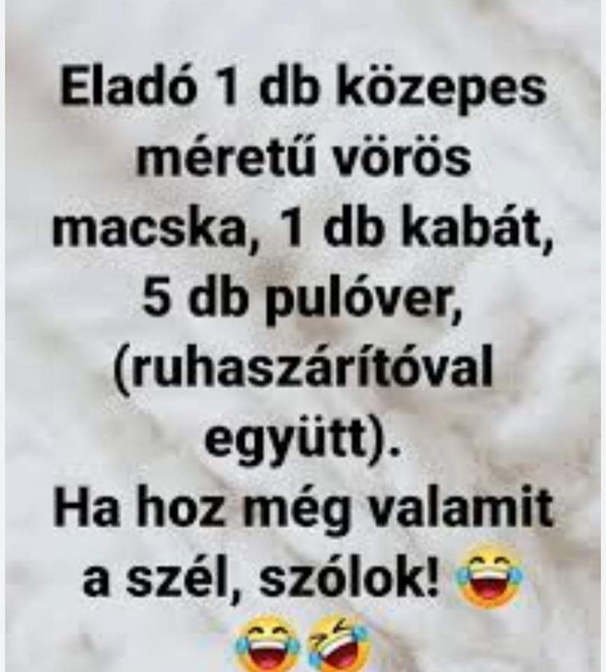 FB_IMG_1675554524308