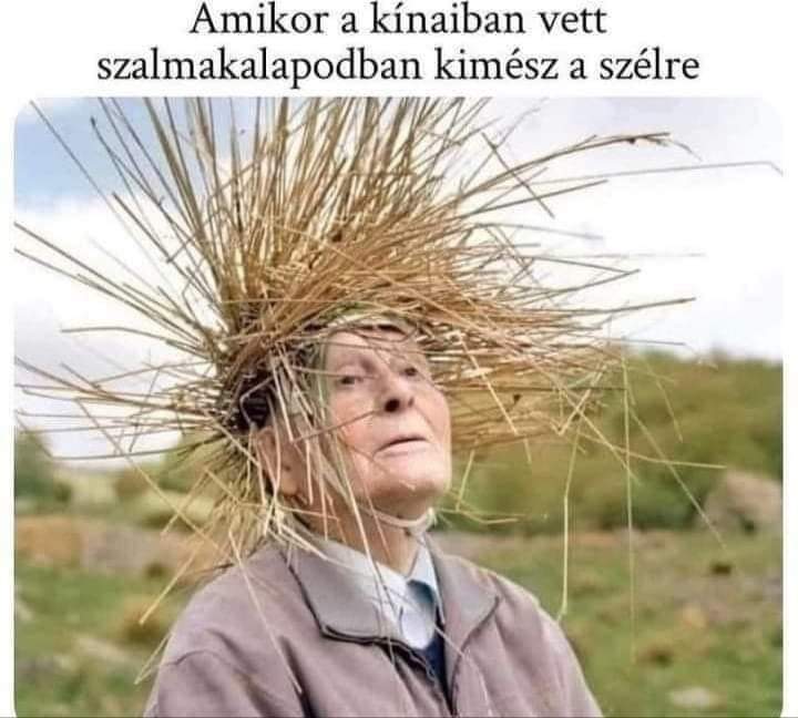FB_IMG_1678478542457